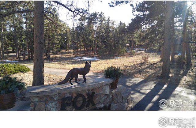 Listing photo 3 for 0 E Fox Acres Dr, Red Feather Lakes CO 80545