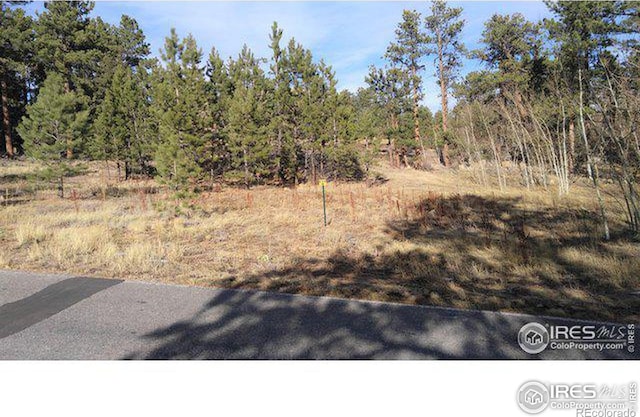 2 W Fox Acres Dr, Red Feather Lakes CO, 80545 land for sale