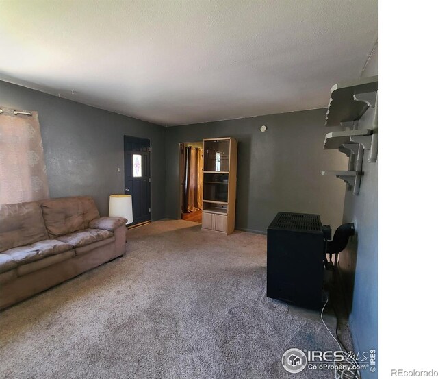 living room featuring carpet flooring and a textured ceiling