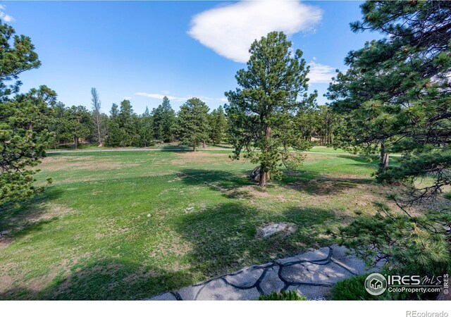 530 Fox Acres Dr W, Red Feather Lakes, CO 80545 - photo 5