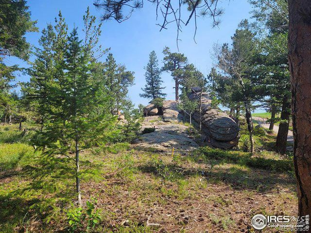 612 Fox Acres Dr W, Red Feather Lakes, CO 80545 - photo 1