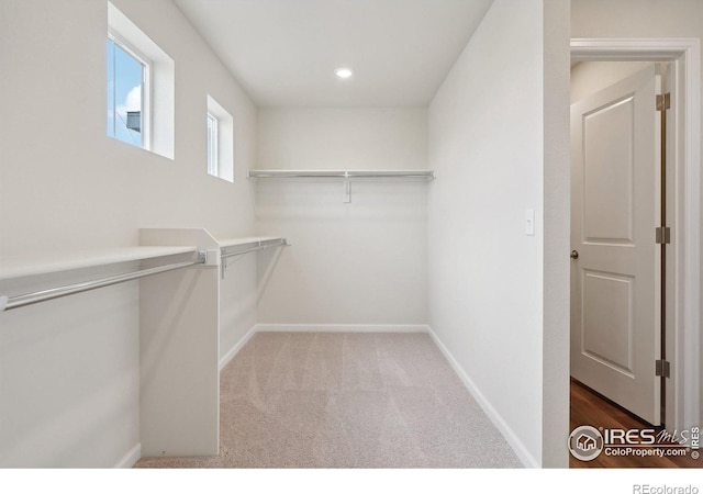 walk in closet with carpet floors