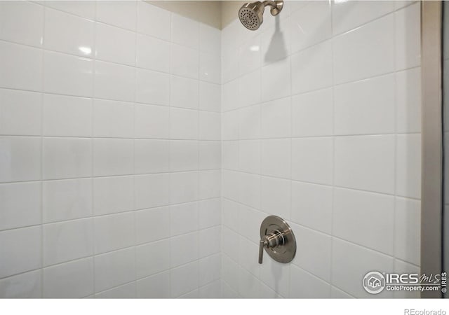 room details featuring tiled shower