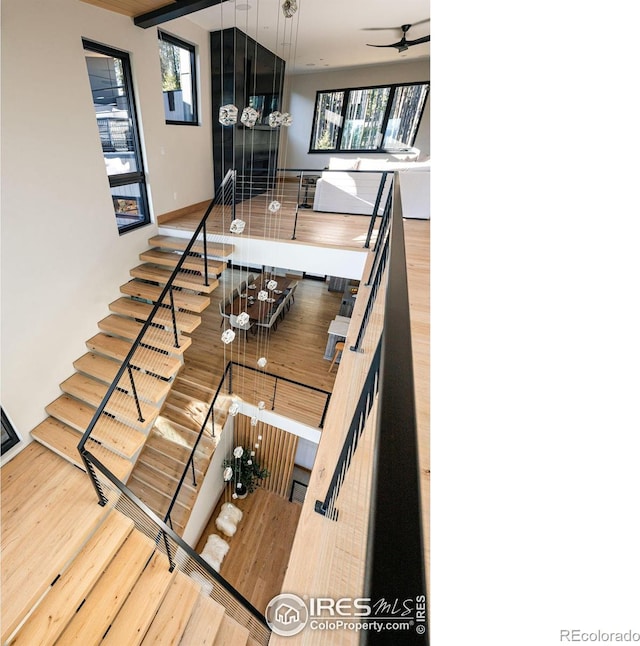 stairs featuring ceiling fan, hardwood / wood-style floors, and a healthy amount of sunlight