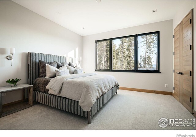 view of carpeted bedroom