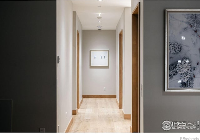 corridor featuring light hardwood / wood-style flooring