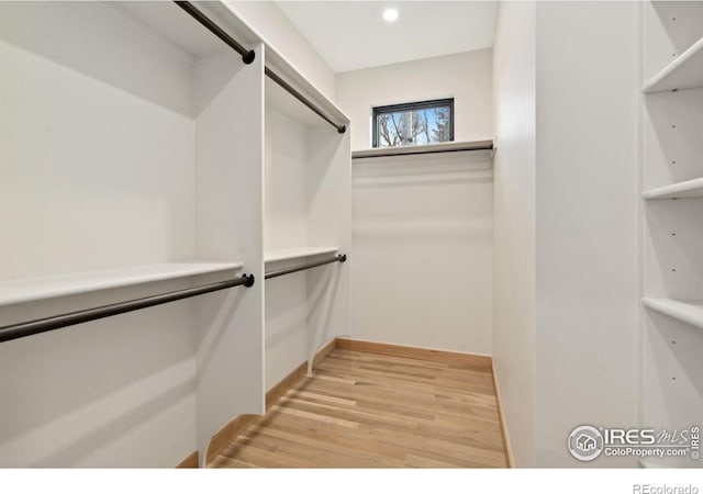 spacious closet featuring light hardwood / wood-style floors