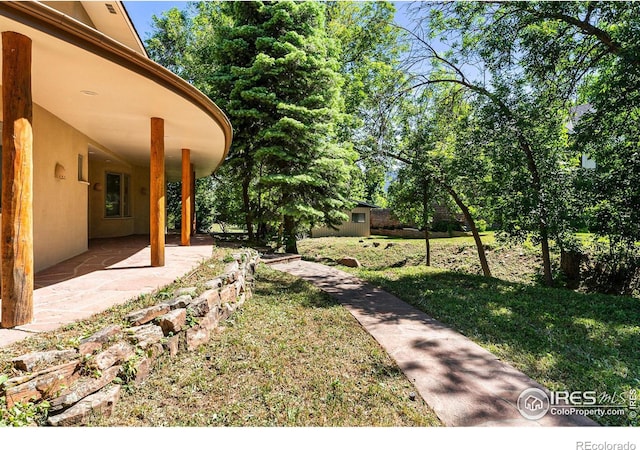 view of yard featuring a patio