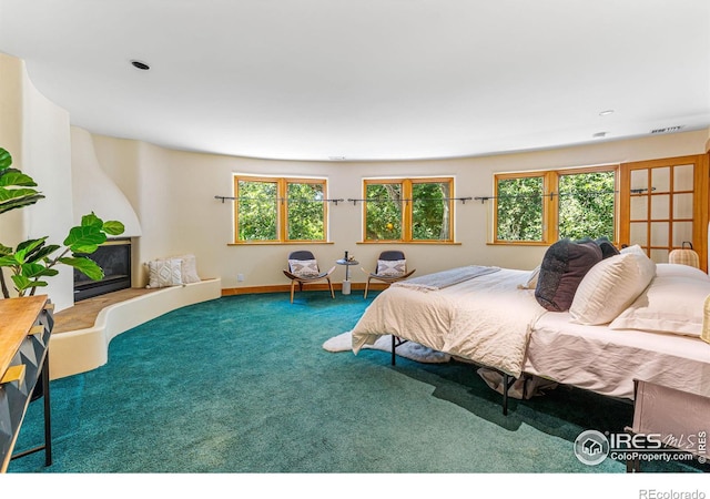 bedroom with carpet floors