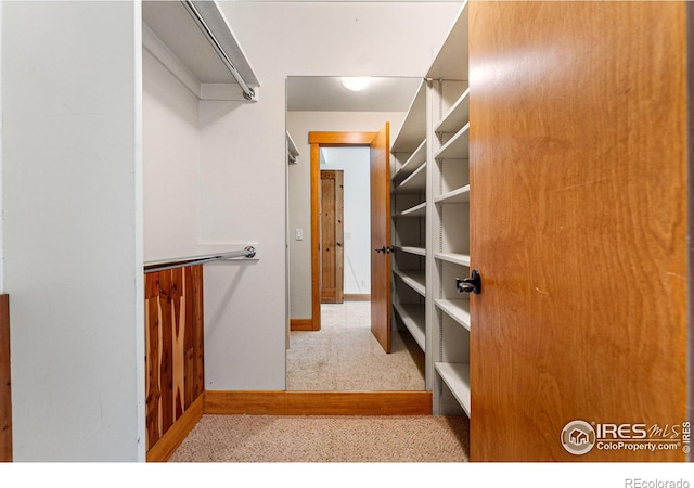 spacious closet featuring light colored carpet