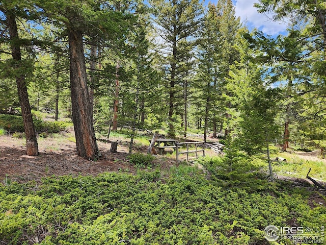 Listing photo 3 for 106 Beartrap Rd, Red Feather Lakes CO 80545