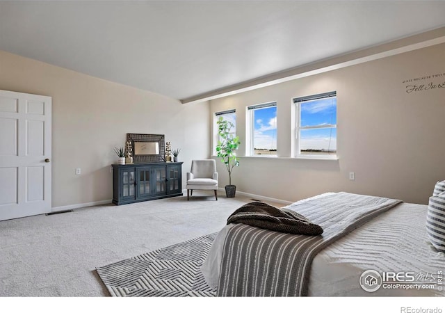 bedroom featuring carpet flooring