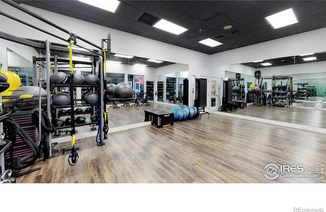 exercise room with hardwood / wood-style floors and a drop ceiling