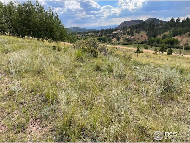 1192 Anges Dr, Cripple Creek CO, 80813 land for sale