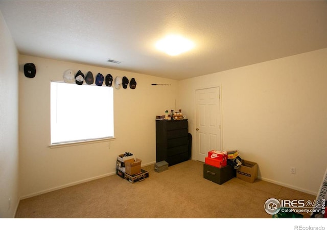 miscellaneous room with carpet floors