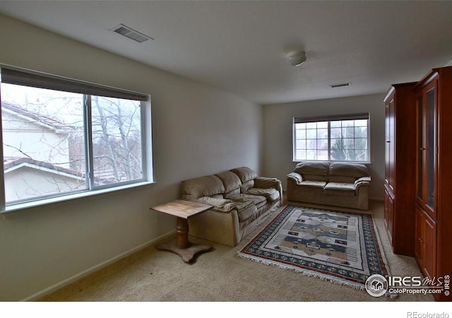 living room with carpet flooring