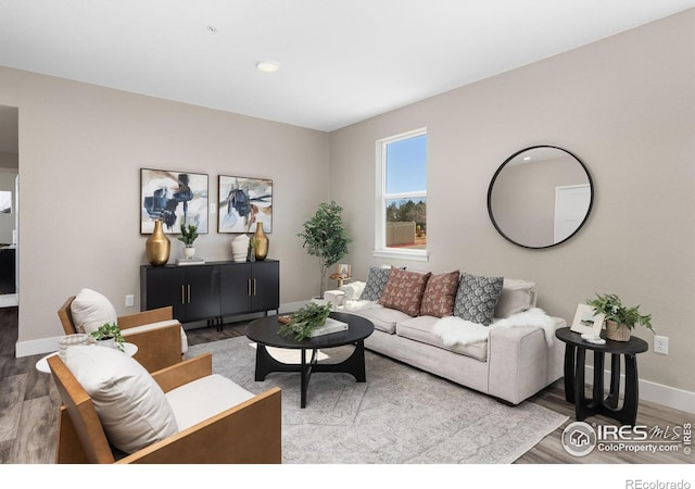 living room featuring hardwood / wood-style flooring