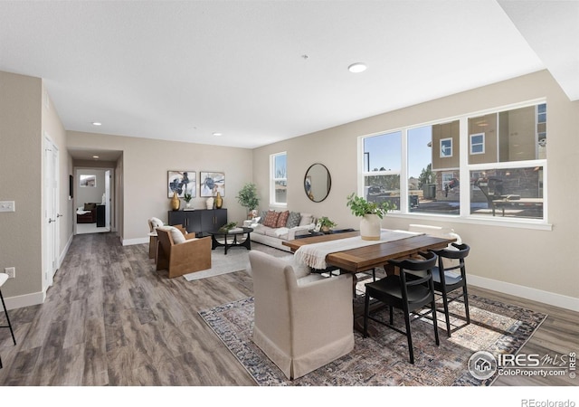 living room with hardwood / wood-style flooring