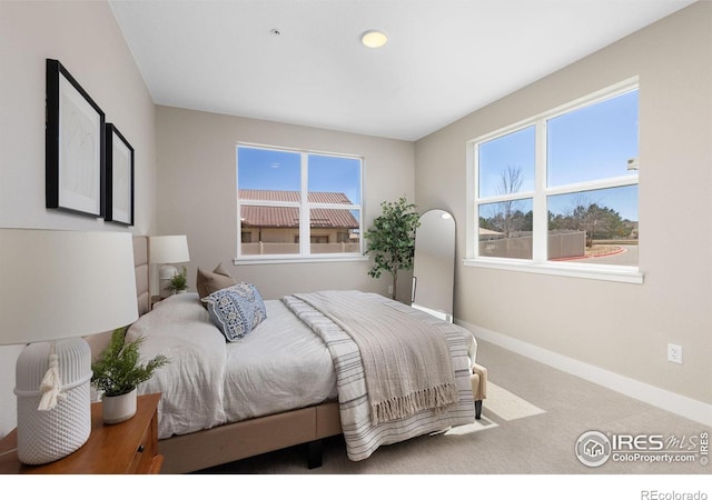 bedroom featuring carpet and multiple windows