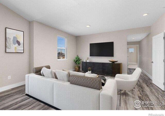 living room with hardwood / wood-style flooring