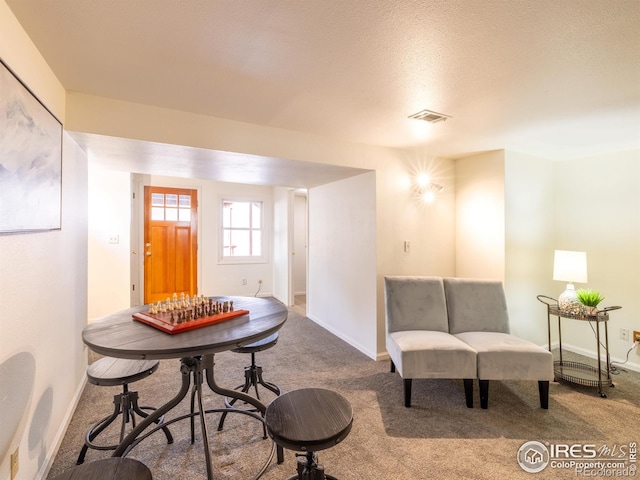 living area featuring carpet flooring and a textured ceiling