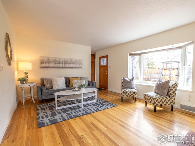 living room featuring wood-type flooring