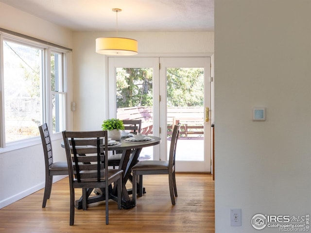 dining room with hardwood / wood-style flooring