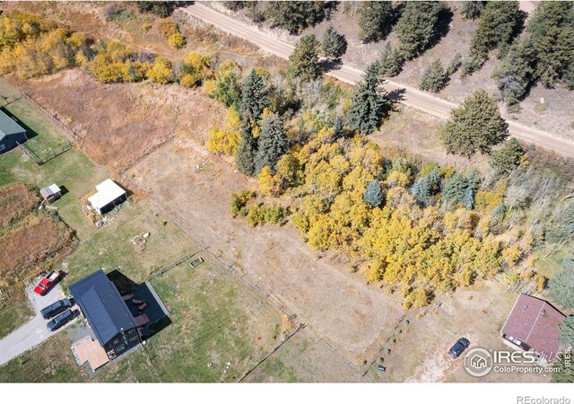 531 Caribou Rd, Nederland, CO 80466 - photo 2