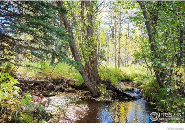 531 Caribou Rd, Nederland, CO 80466 - photo 6