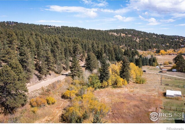 531 Caribou Rd, Nederland, CO 80466 - photo 9