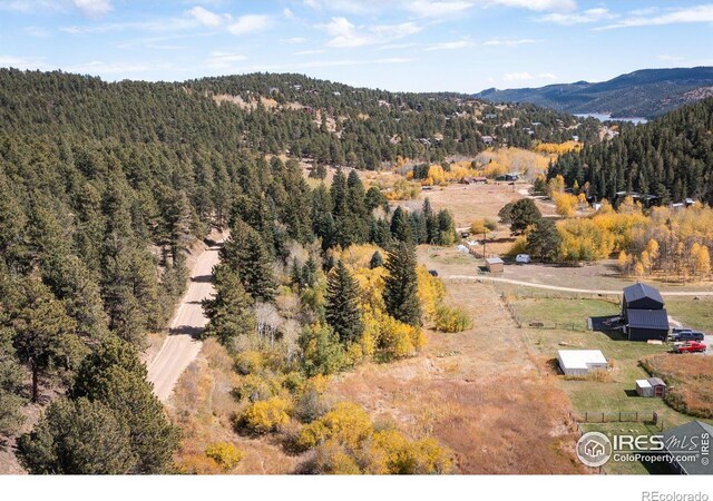 531 Caribou Rd, Nederland, CO 80466 - photo 10