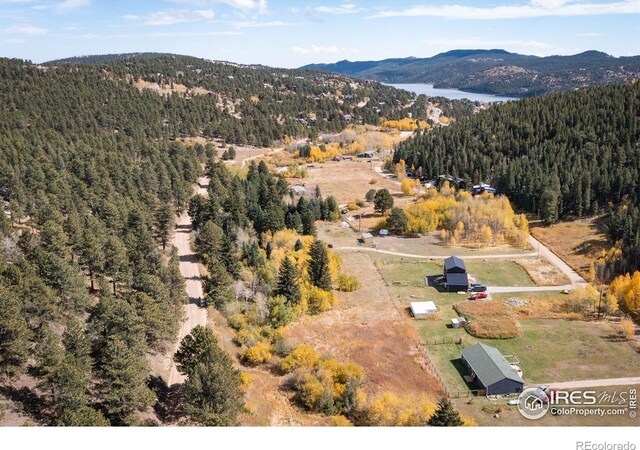 531 Caribou Rd, Nederland, CO 80466 - photo 12