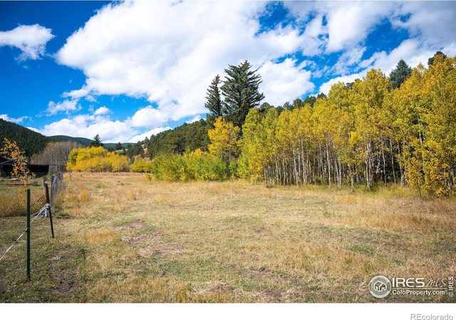 531 Caribou Rd, Nederland, CO 80466 - photo 14