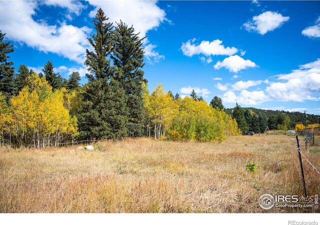 531 Caribou Rd, Nederland, CO 80466 - photo 15