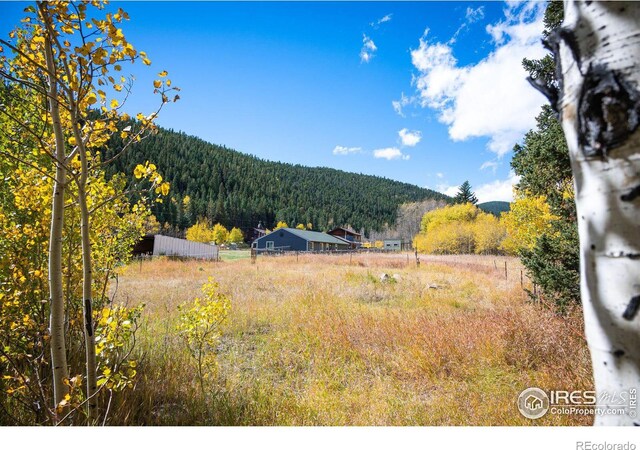 531 Caribou Rd, Nederland, CO 80466 - photo 17