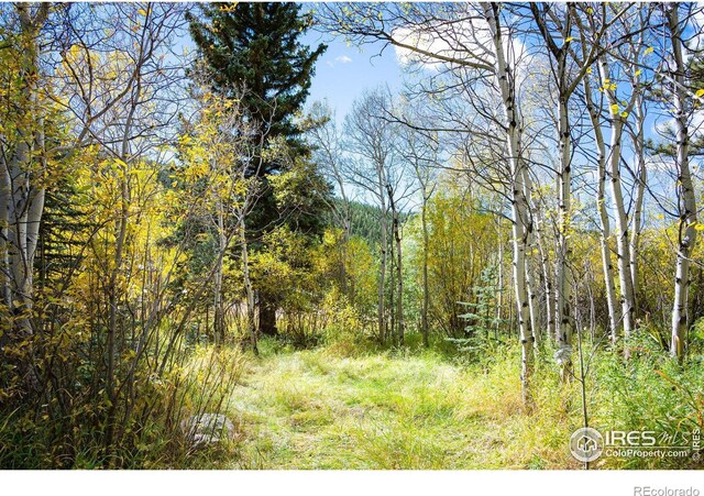 531 Caribou Rd, Nederland, CO 80466 - photo 19