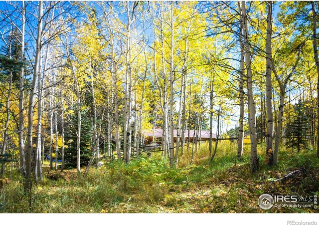 531 Caribou Rd, Nederland, CO 80466 - photo 20