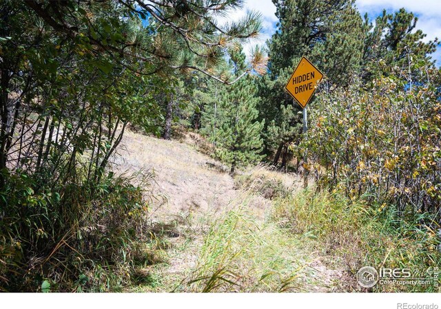 531 Caribou Rd, Nederland, CO 80466 - photo 21
