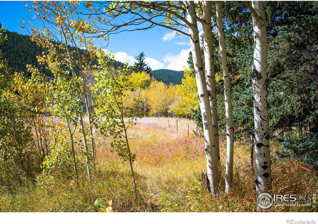 531 Caribou Rd, Nederland, CO 80466 - photo 22