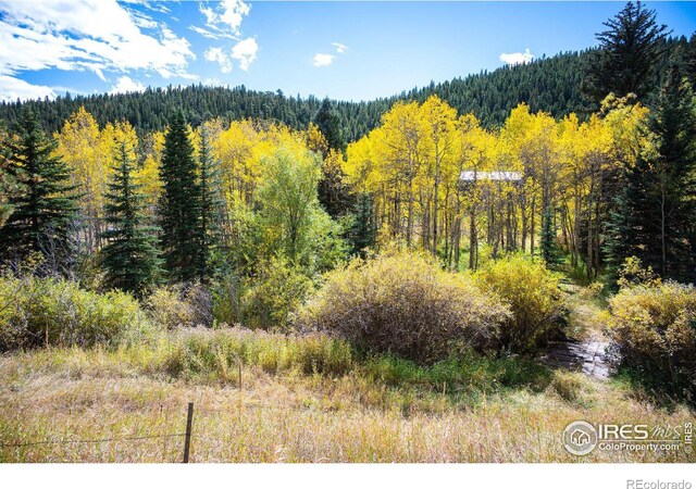 531 Caribou Rd, Nederland, CO 80466 - photo 23