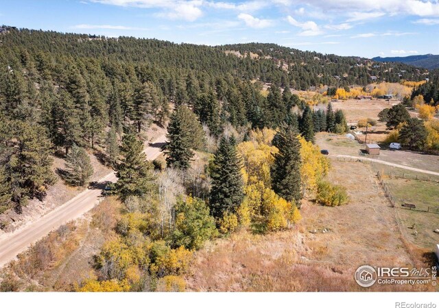 531 Caribou Rd, Nederland, CO 80466 - photo 25