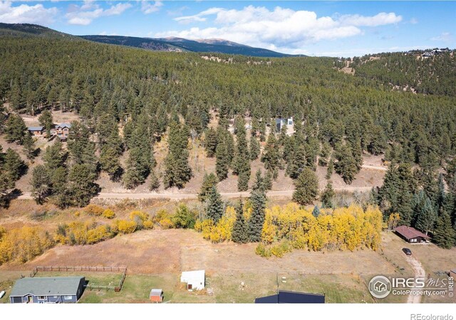 531 Caribou Rd, Nederland, CO 80466 - photo 26