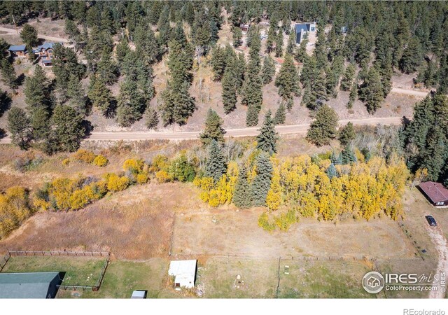 531 Caribou Rd, Nederland, CO 80466 - photo 27