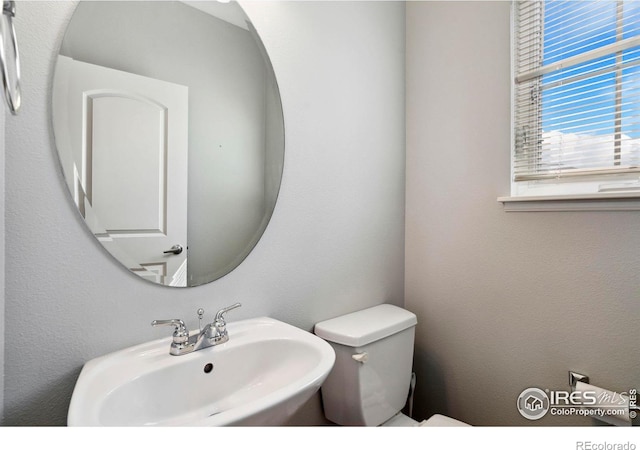 bathroom featuring sink and toilet