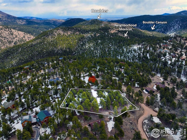 45 Shady Holw, Nederland CO, 80466 land for sale