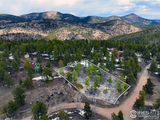 Listing photo 2 for 45 Shady Holw, Nederland CO 80466