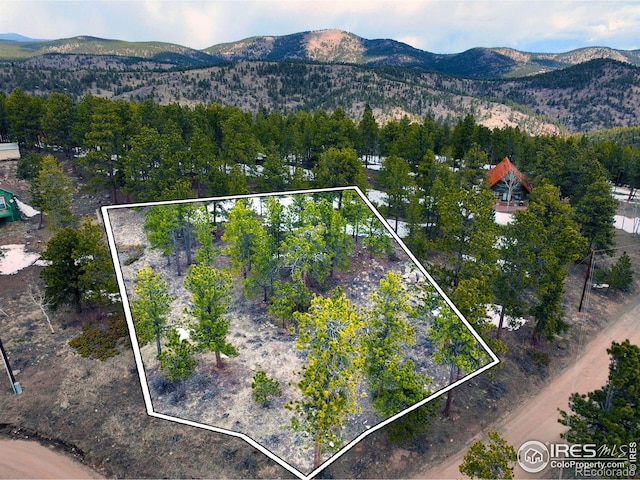 Listing photo 3 for 45 Shady Holw, Nederland CO 80466