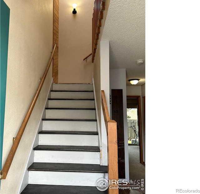 staircase featuring carpet