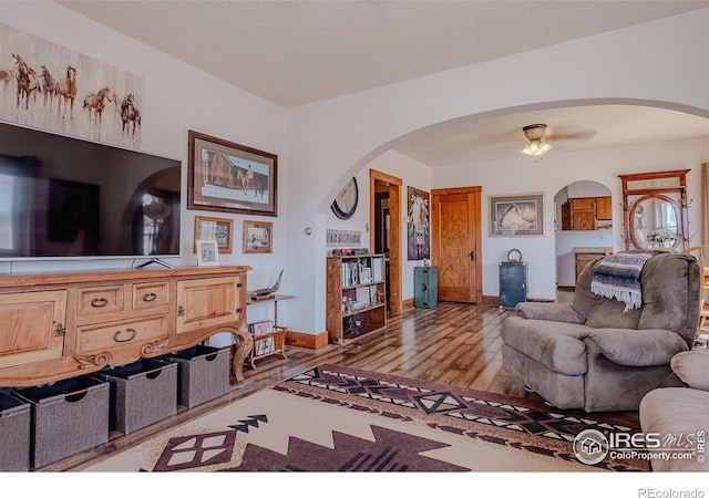 living room with ceiling fan and light hardwood / wood-style floors