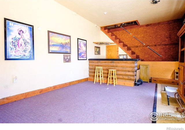 playroom featuring carpet floors and bar